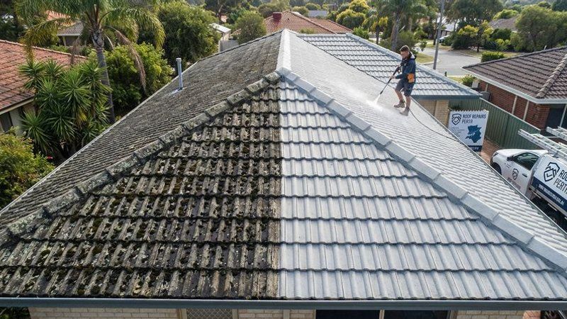 Comparison of cleaned and uncleaned sections of a concrete tile roof showing dramatic difference in appearance
