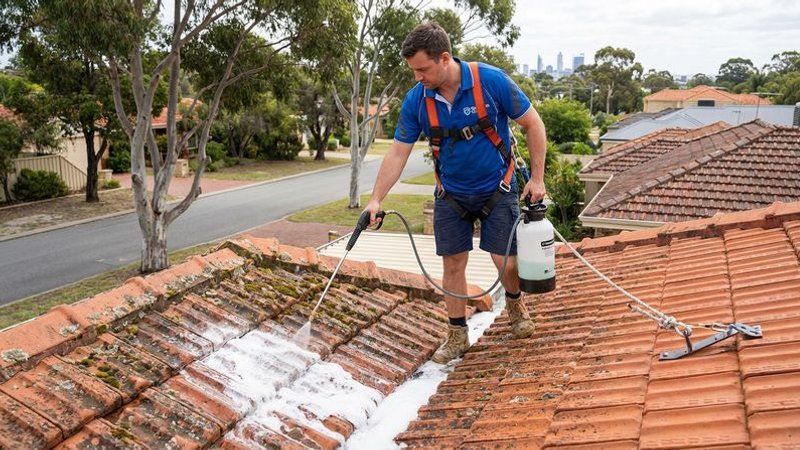 Professional roofer carefully soft washing moss and lichen off residential roof tiles in a Perth suburb